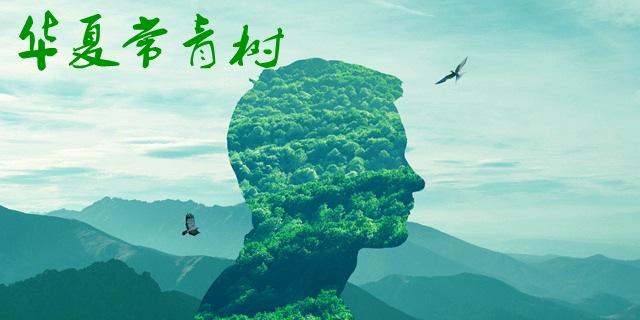 華夏常青樹(shù)多倍版2.0包括哪些病？